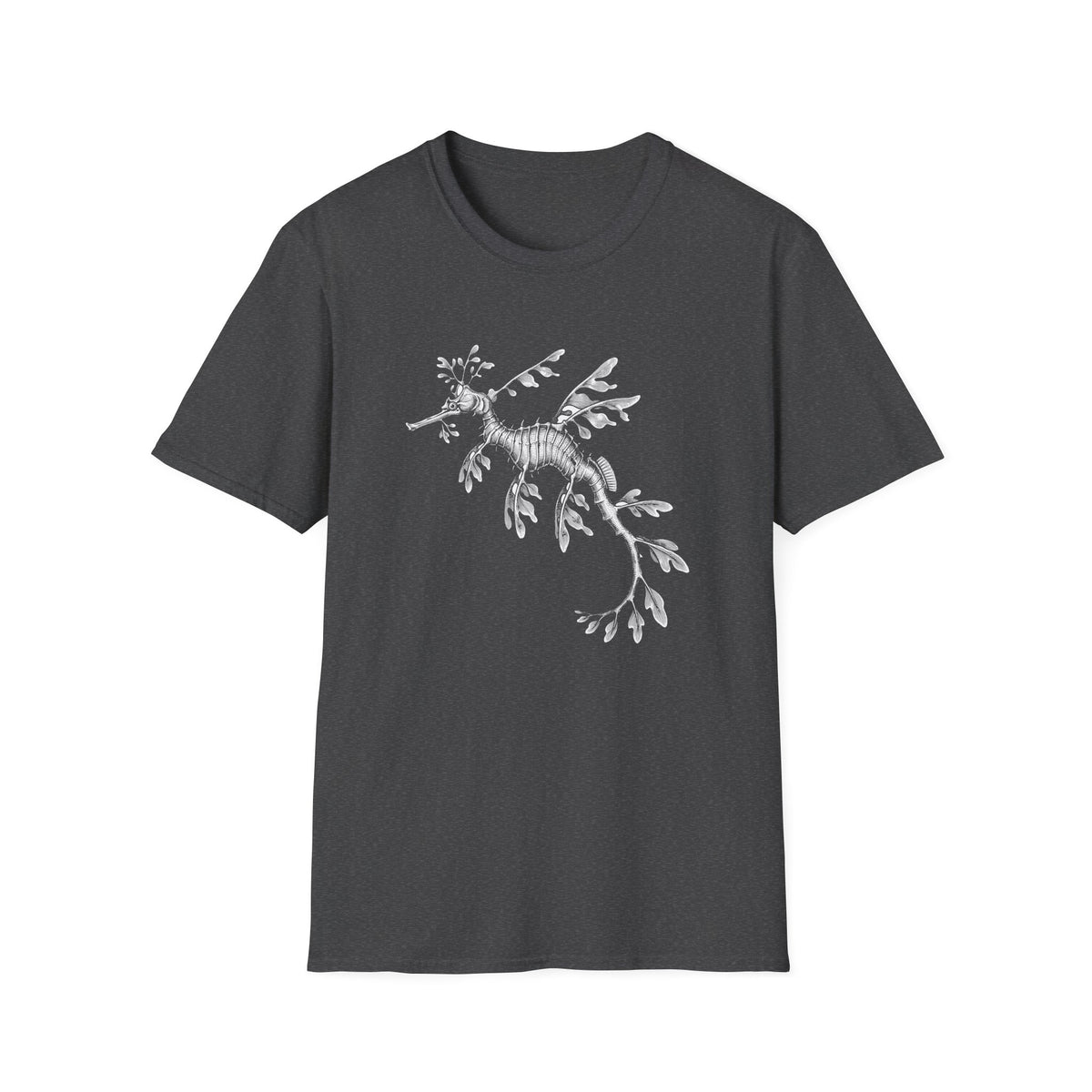 Leafy Sea Dragon Naturalist t-shirt, product photo 8