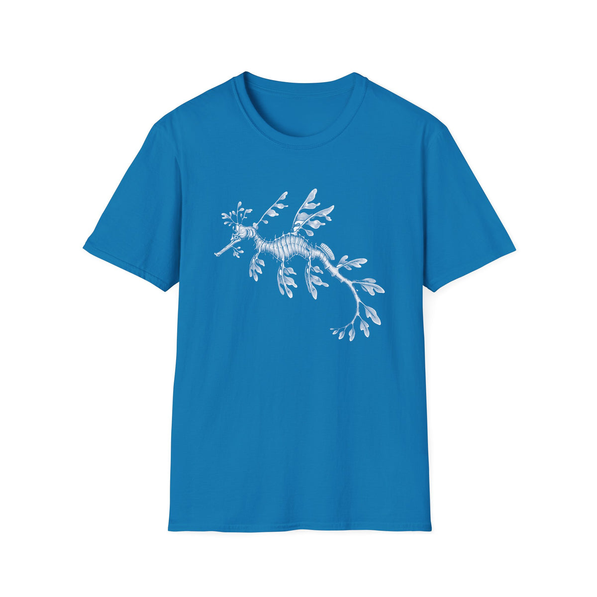 Leafy Sea Dragon t-shirt, product photo 10