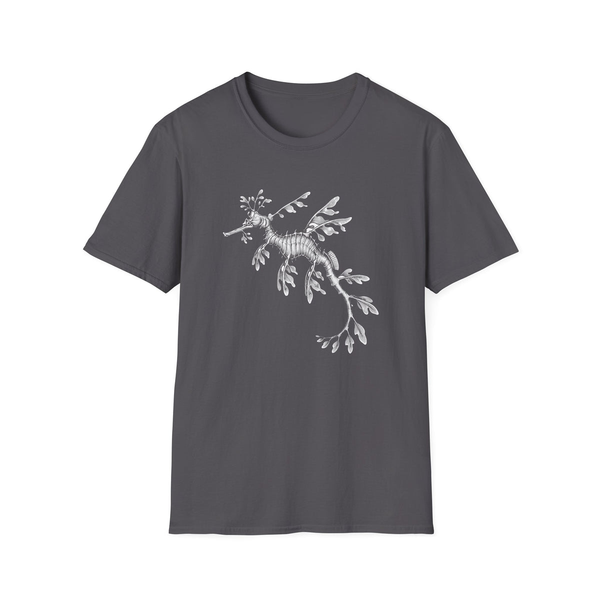 Leafy Sea Dragon Naturalist t-shirt, product photo 12
