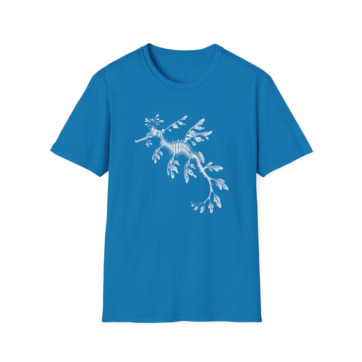 Leafy Sea Dragon Naturalist t-shirt, product photo 11